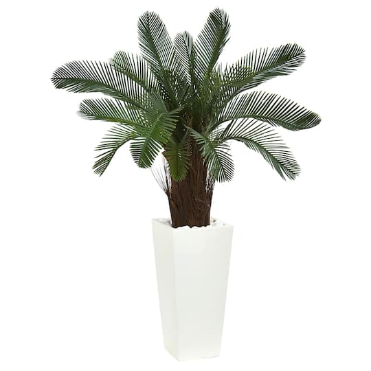 3.5ft. Cycas Tree in White Tower Planter